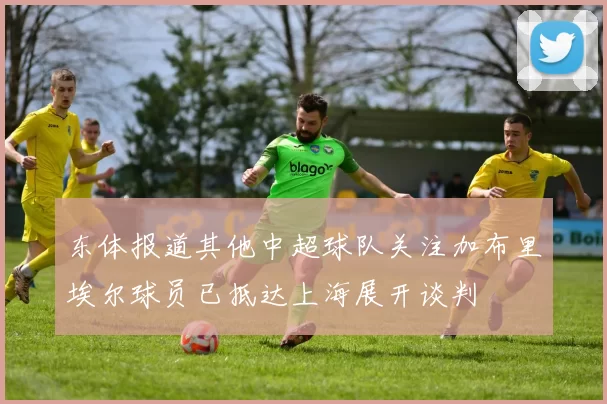 东体报道其他中超球队关注加布里埃尔球员已抵达上海展开谈判